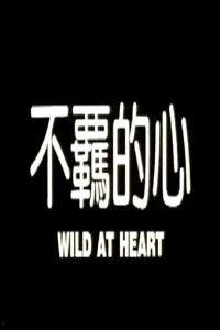 电影不羁的心在线观看,探寻自由灵魂的激情之旅  第1张